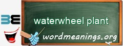 WordMeaning blackboard for waterwheel plant